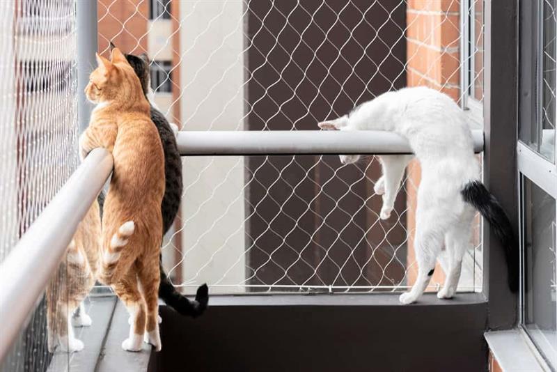 Pet Safety Nets installation by Rio Enterprises